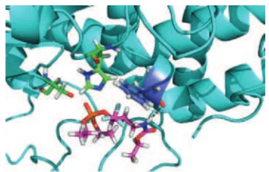 Figure  2a.  Molecular  interactions  between AChE  and  the  inhibitor   (S)-2b, (displayed in pink)