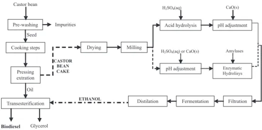 Figure 1. Summaries of the integration of the present proposal with biodiesel production within the context of residue/waste valorization.