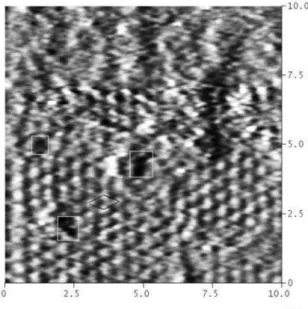 Figure 2 shows a typical STM image of the Hpyt lattice  on Au (111). Pinholes on the molecular structure are 