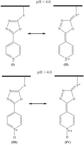Figure 5. Cyclic voltammograms recorded at 0.15 Vs –1  in a  0.1 mol L –1  KCl solution containing 1.0 mmol L –1  [Fe(CN) 6 ] 4–  at different  pH values