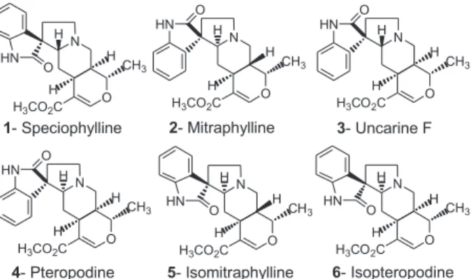 Figure 1. Structures of the pentacyclic oxindole alkaloids regarded as  biochemical markers of Uncaria tomentosa and Uncaria guianensis.
