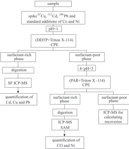 Figure 1. Schematic representation of the sequential cloud point extraction and the quantification procedures