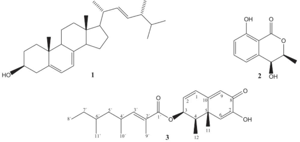 Figure 1. Isolated compounds from L. theobromae.