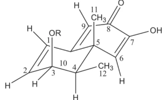 Figure 2. Three dimensional perspective suggested for compound 3 based  on geometry optimization, using the software HyperChem (from ref