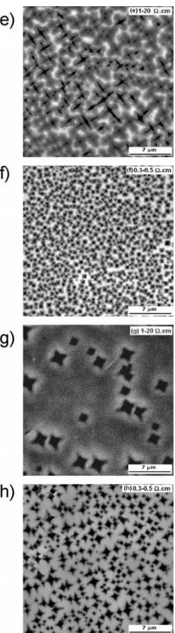 Figure 2. Scanning electron microscopy images of porous silicon samples  prepared with etching time of 10 min and current density of 56.5 mA cm -2 , using ethanol (e), (f) and acetonitrile (g), (h) solutions