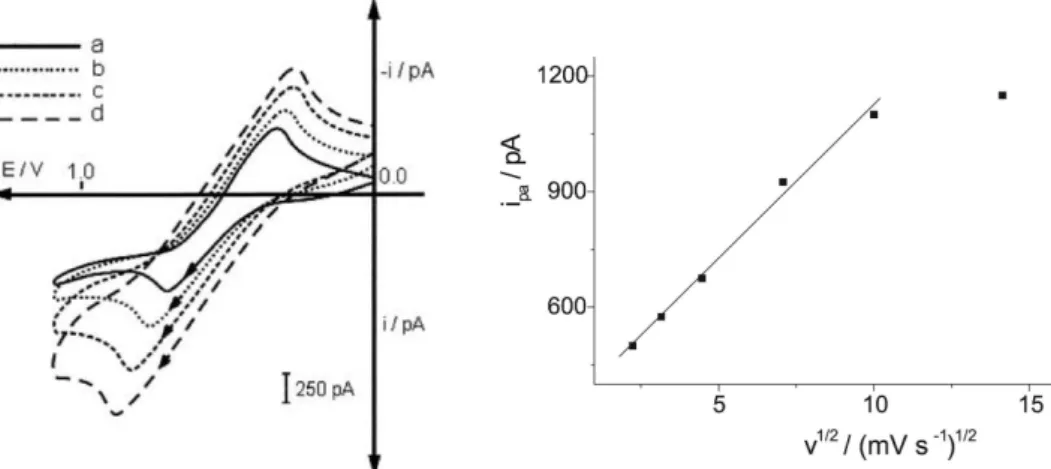 Figure 1. Voltammograms (left) and relationship between v ½  and peak anodic current (right) in a ME containing 40.0% oil, 43.2% 1-pentanol, 10.8% 