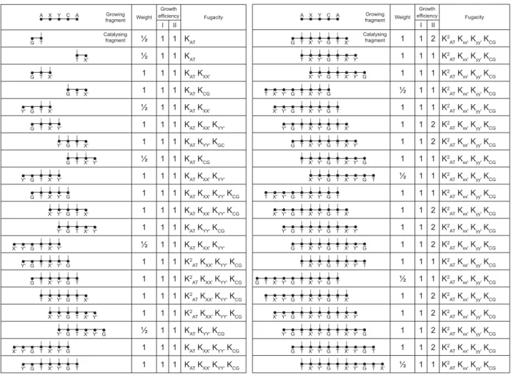 Figure 1. Configurational analysis of the catalysing fragments corresponding to the growth of a pentamer.