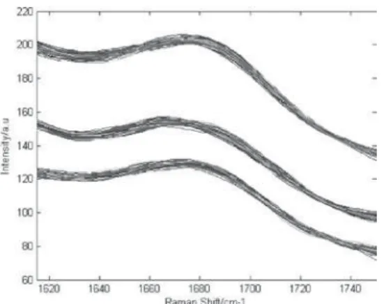 Figure 2. Plot of scores on PC 1 vs. scores on PC 2, for all the bacteria  evaluated in this work.