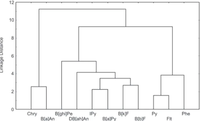 Figure 2. Dendogram of the cluster analysis of PAHs at the bus station  for PM 10  samples