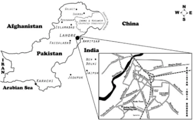 Figure 1. Location of the sampling site.