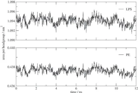 Figure 2. Area per lipopolysaccharide (LPS) molecule and phosphatidylethanolamine (PE) lipid headgroup as a function of simulation time.