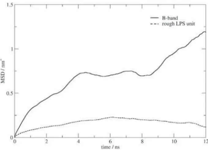 Figure 4. Comparison of the lateral (two-dimensional) mean square  displacement for a rough LPS unit and the B-band chain (tetramer) as a  function of the simulation time.