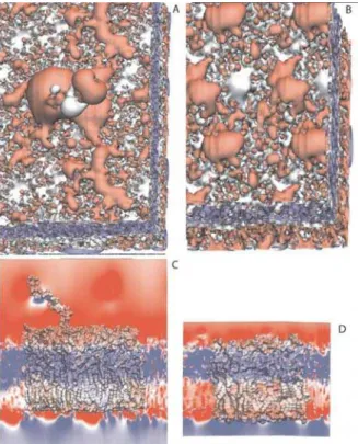 Figure 5. Electrostatic potential of the A-B+ and rough LPS membranes: 