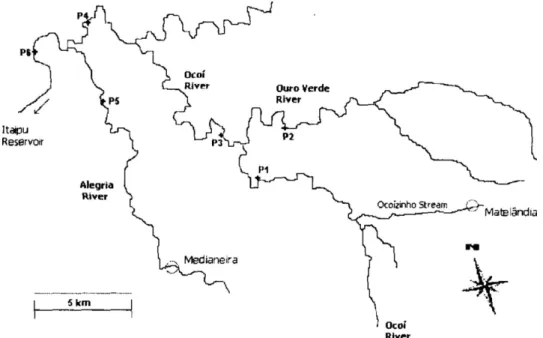 Figure 1. Ocoí River hydrography: the Ocoí, Ouro Verde, Alegria and the Ocoizinho aquatic system.