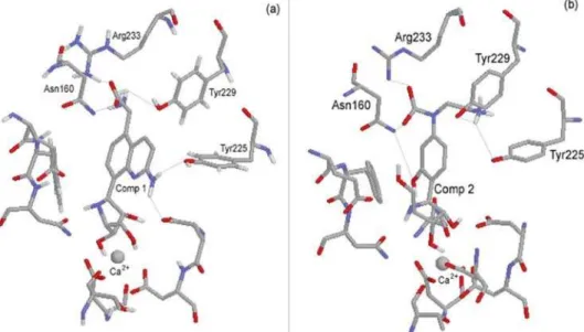 Figure 6. Chemical environment around compounds 1 (a) and 2 (b) inside the CfNH hydrophobic pocket.