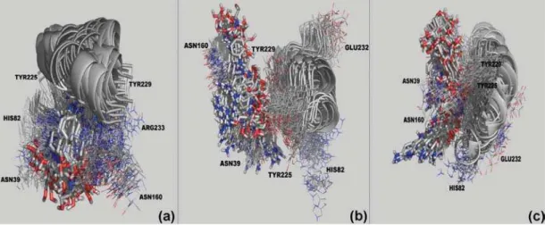 Figure 10. Dynamic Behavior of pAPIR inside the active sites of CfNH (a), LmNH (b) and LdNH (c) along the 2,000 ps of MD simulations