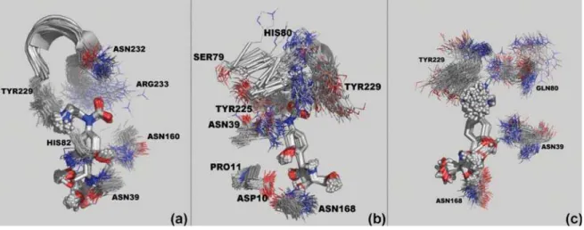Figure 12. Dynamic behavior of compound 2 inside the active sites of CfNH (a), LmNH (b) and LdNH (c) along the 2,000 ps of MD simulations