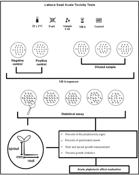 Figure  2  shows  the  typical  absorbance  decay  of  the  textile efluent during photodegradation in the presence of  TiO 2 