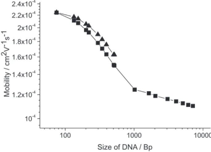 Figure 6. Plot of mobility versus number of bp for the separations carried  out with 0.25% HEC, in both PVA (––) and PDMA (––) capillaries