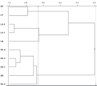 Figure 2. Dendogram constructed following agglomerative hierarchical clustering analysis (HCA) of essential oils of A
