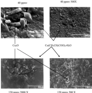 Figure  7  shows  the  XRD  diffractograms  of  copper  coupons exposed to 4, 20, 40, and 120 ppmv of propionic  acid vapors and 100% RH during 21 days