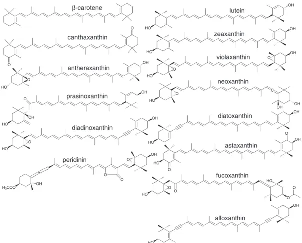 Figure 1. Structure of the carotenoids studied.