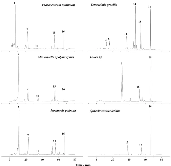 Figure 4. HPLC-DAD (445 nm) chromatograms of pigments from cyanobacteria and different microalgae