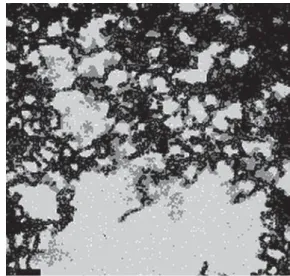 Figure 1. Transmission Electronic Microscopy image of the CdS/Cd(OH) 2 core shell quantum dots