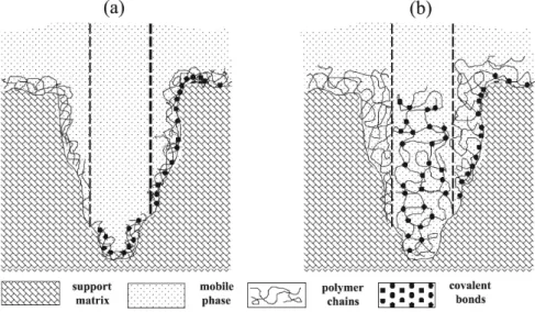 Figure 3. Types of polymeric deposition on a chromatographic support. (a) Coating of the pore walls or (b) illing of the pore volume