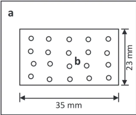 Figure 1. Schematic of a framed sample of adhesive tape showing a typical  distribution of the 20 laser shots employed for GSR detection