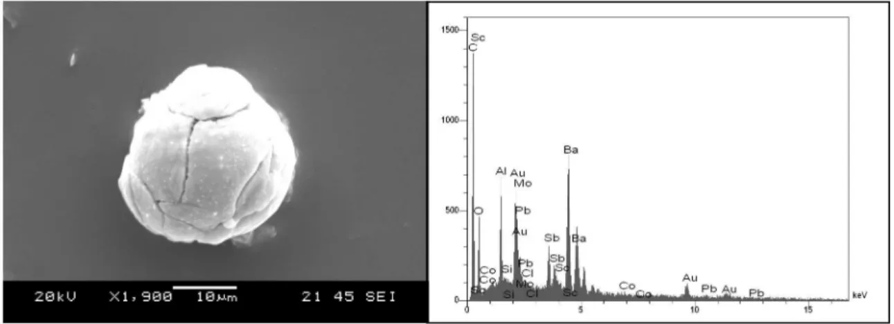Figure 4. SEM image and EDS spectrum of an “unique” GSR particle.