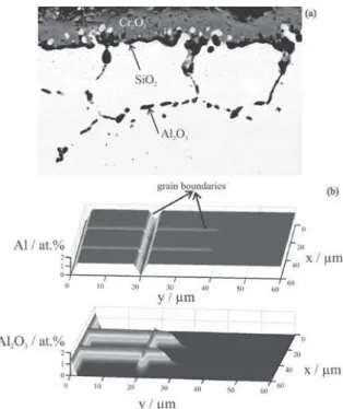 Figure 4. Cr 2 O 3  scale and internal oxidation zone (Al 2 O 3 ) formed during  exposure of the alloy IN625 to laboratory air at 1000  o C: (a) cross  sec-tion observasec-tion 8  and (b) simulated concentration profile of intergranular  Al 2 O 3  formatio