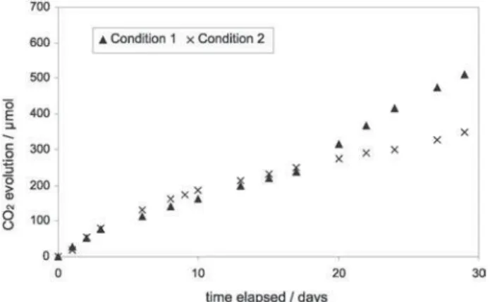 Figure 2. Profiles of CO 2  evolution for soil microcosms tests.