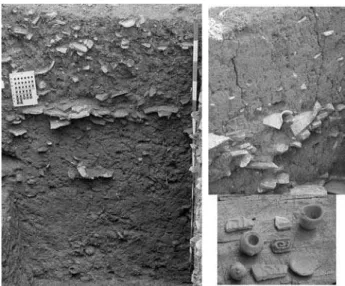 Figure 1. Photographs of TPI profiles and of ceramic artifacts found in  these soils.