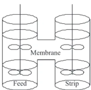 Figure 4. The enantioselective transport process.