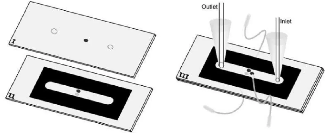 Figure 2 shows the steps involved in the construction  of  a  microfluidic  cell  when  the  gold  working  electrode  (Figure  1)  is  substituted  by  graphite