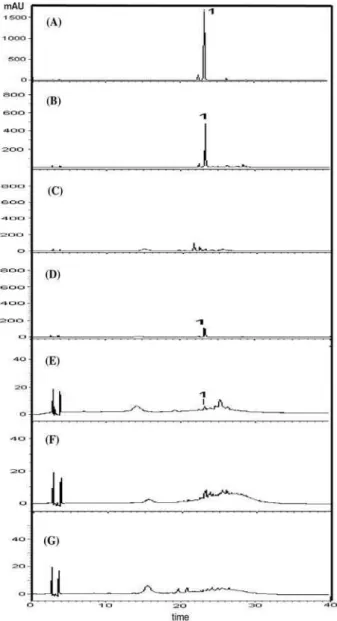 Figure 3. HPLC-UV profiles (320 nm) of (A) isolated kaempferitrin (1,  t R  = 23.27 min) and MeOH/H 2 O fractions from: (B) leaves of Uncaria  guianensis from Mato Grosso (B), bark of Uncaria guianensis from Mato  Grosso  (C),  leaves  of Uncaria  guianens