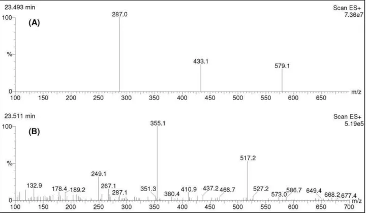 Figure S6. MS of the isolated kaempferitrin at retention time = 23.493 min (A) and MS at the same retention time in leaves of Uncaria tomentosa (R T  =  23.511 min) (B)