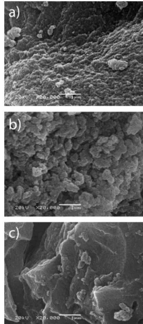Figure 1. Scanning electron micrographs of the unleached (a) and leached  (b) 4-APh imprinted polymer and of NIP (c) particles.