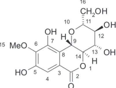 Figure 1. Bergenin structure.