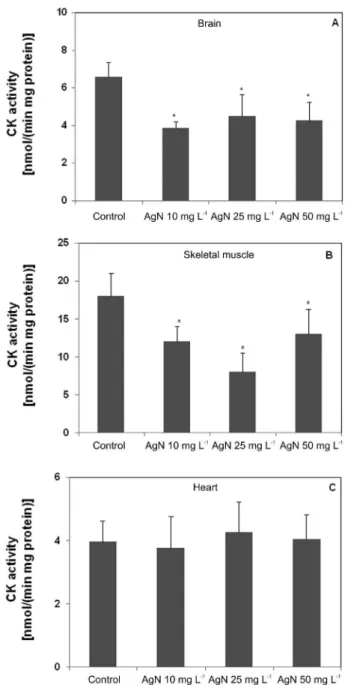 Figure 3. In vitro effect of silver nanoparticles (AgN) on creatine kinase  (CK)  activity  in  brain  (A),  skeletal  muscle  (B)  and  heart  (C)  of  rats