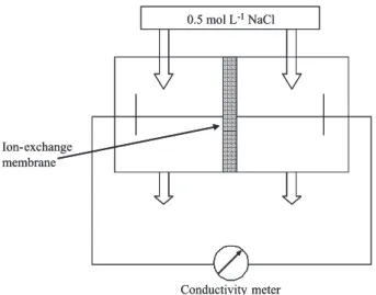 Figure 3. Diagram of the test cell used to determine the permselectivity  of ion-exchange membranes.