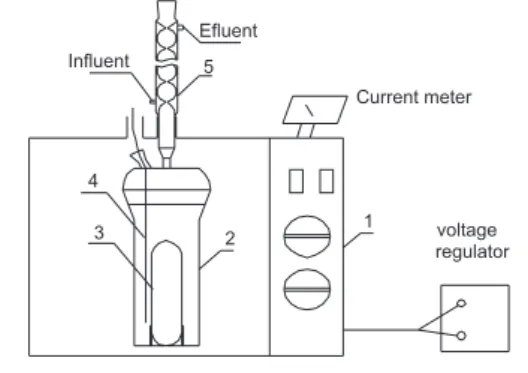 Figure  1.  Schematic  illustration  of  the  microwave-assisted  photoreactor.