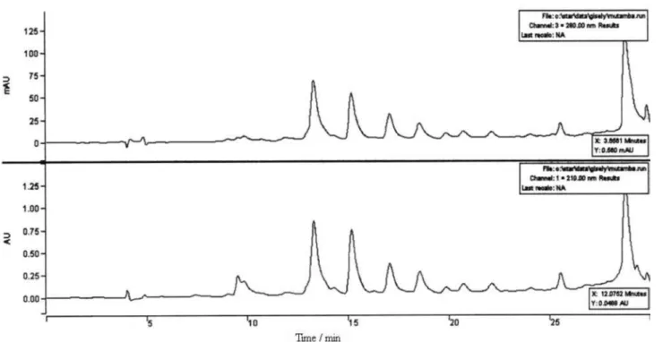 Figure 1. Chromatograms of G. ulmifolia with different extract UV detection methods at 210 and 280 nm.