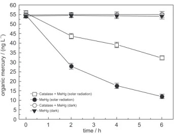 Figure  3.  Methyl  mercury  photodegradation  quantified  as  organic  mercury. All water samples were contaminated with 55 ng L -1  MeHg and  exposed to solar radiation