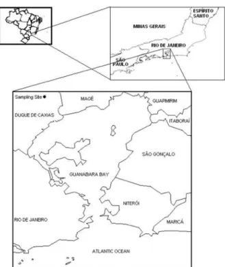Figure 1. Location of the sampling site, Major José Carlos Lacerda, in the  city of Duque de Caxias (Rio de Janeiro Metropolitan Area).