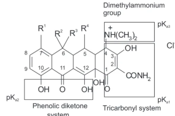 Figure 2. Structural groupings in the tetracyclines.