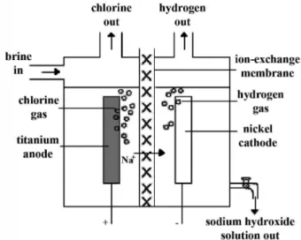 Figure 2. Ion-exchange membrane chloroalkali cell.