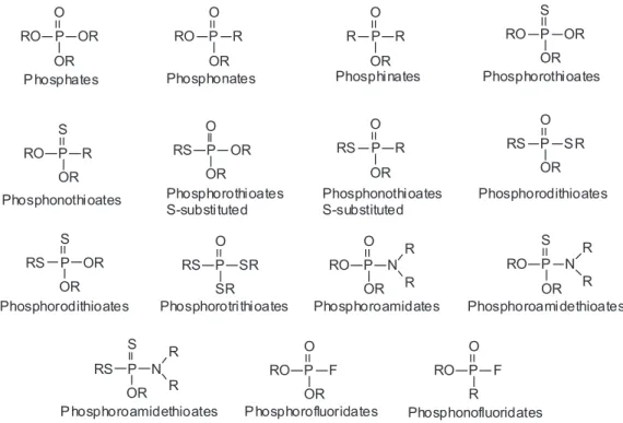 Figure 5. Types of OPCs, according to Gupta. 72