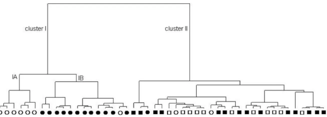 Figure 2. Dendrogram representing chemical composition similarity relationships among 47 cultivated samples of E